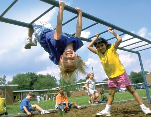 Metal Monkey Bars