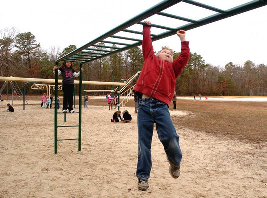 Outdoor Monkey Bars with Ladder